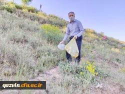 اجرای برنامه پاکسازی طبیعت از زباله 6