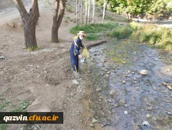 اجرای برنامه پاکسازی طبیعت از زباله 8