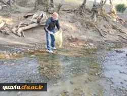 اجرای برنامه پاکسازی طبیعت از زباله 11