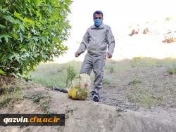 اجرای برنامه پاکسازی طبیعت از زباله 12