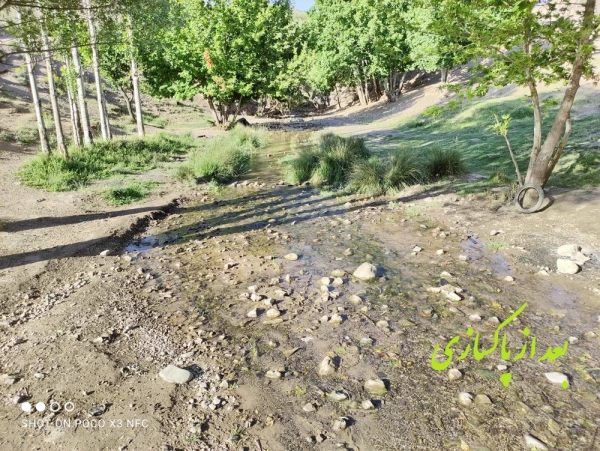 اجرای برنامه پاکسازی طبیعت از زباله 16