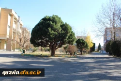 بازدید نماینده سازمان مرکزی از دانشگاه 16