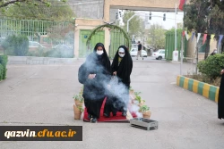 آیین استقبال از دانشجویان خوابگاهی به روایت تصویر 8