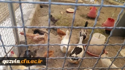 بازدید از مدرسه هوشمند سراج فرهیختگان تهران 9