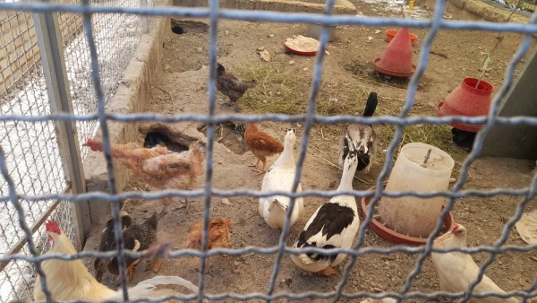 بازدید از مدرسه هوشمند سراج فرهیختگان تهران 9