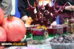 جشنواره شب یلدا به روایت تصویر 13