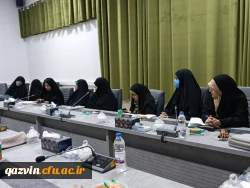 جلسه آسیب شناسی جوانی جمعیت و فرزندآوری 6