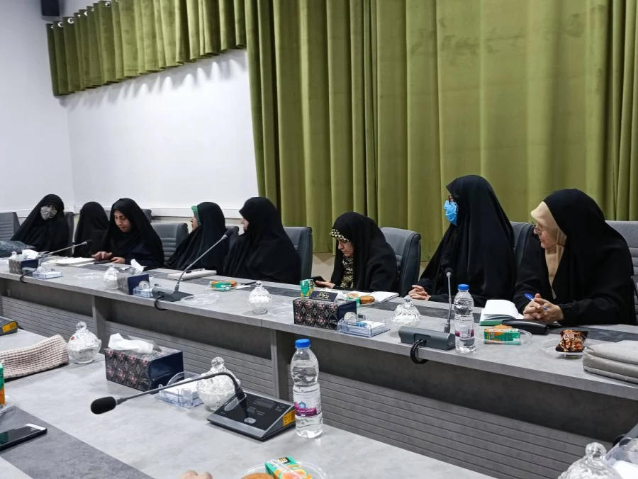 جلسه آسیب شناسی جوانی جمعیت و فرزندآوری 6