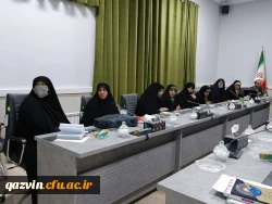 جلسه آسیب شناسی جوانی جمعیت و فرزندآوری 8