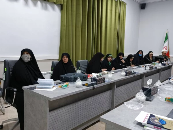 جلسه آسیب شناسی جوانی جمعیت و فرزندآوری 8