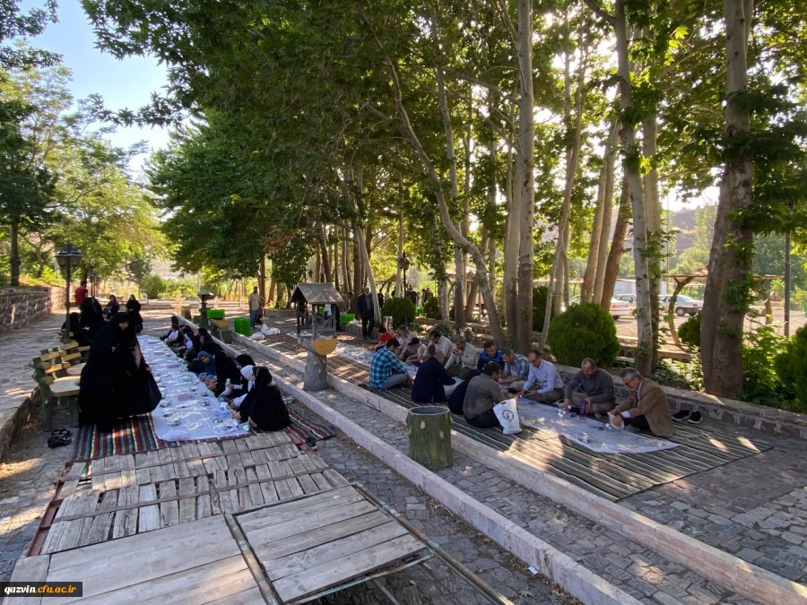 همایش پیاده روی خانوادگی اساتید دانشگاه های استان قزوین 2