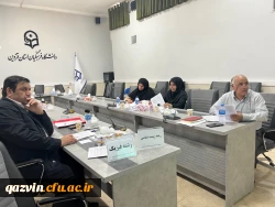 بخش غیرحضوری یازدهمین جشنواره تدریس برتر به میزبانی استان قزوین برگزار شد 5